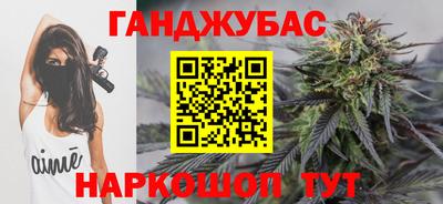 шишки Дубна