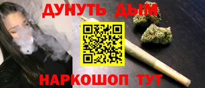 шишки Дубна
