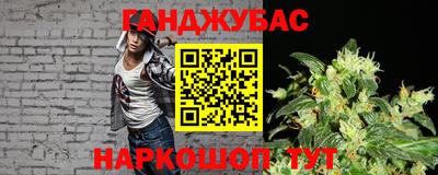 дмт Донской