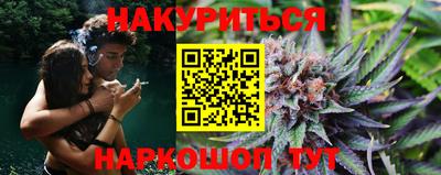 шишки Дубна
