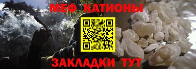 шишки Дубна