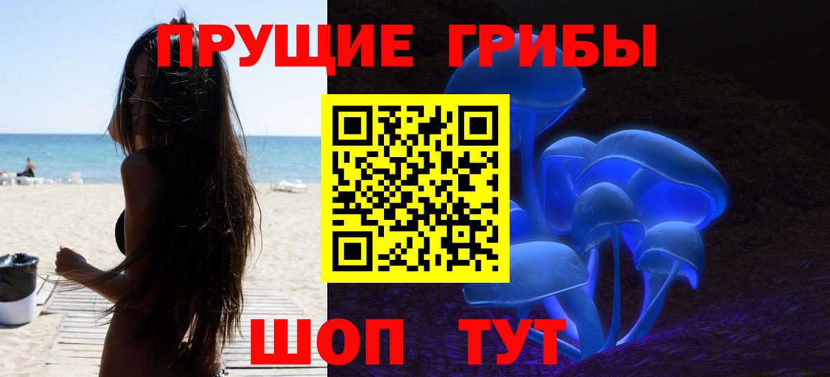 Галлюциногенные грибы Psilocybe  Вход с VPN  хочу наркоту  Майкоп 